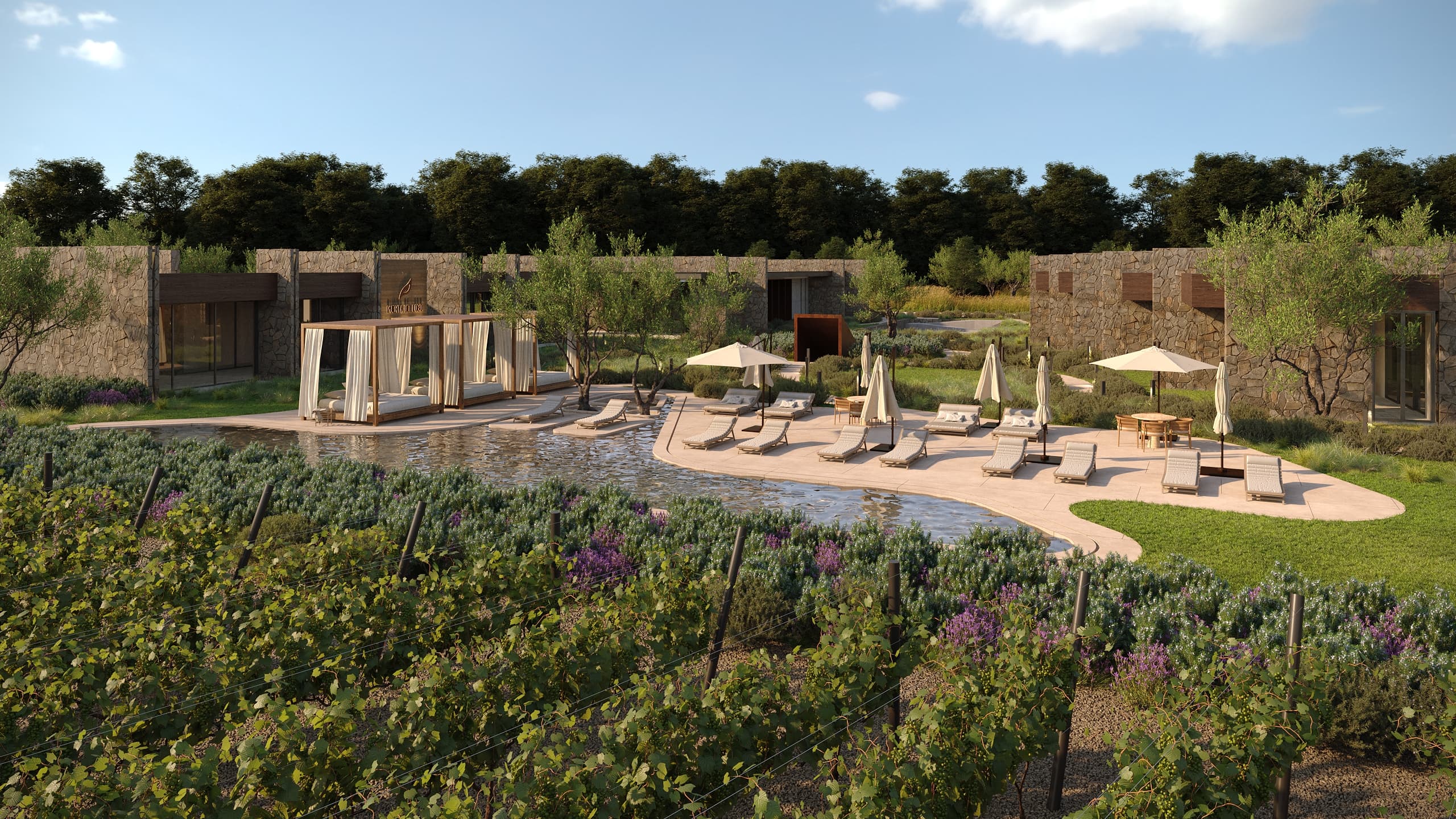 Pool and spa area with vineyard views